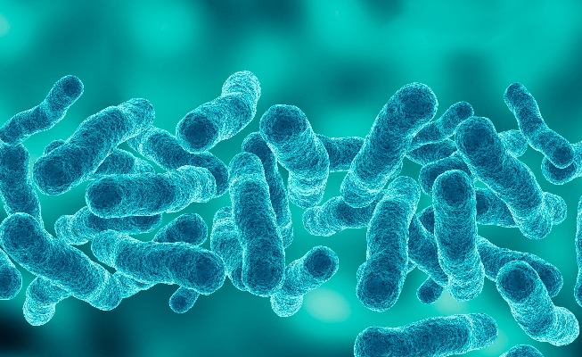 a close up image of legionella bacteria